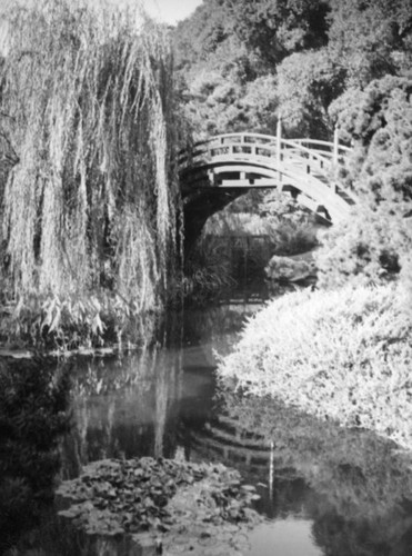 Japanese garden, Huntington Botanical Gardens