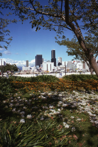 Los Angeles skyline