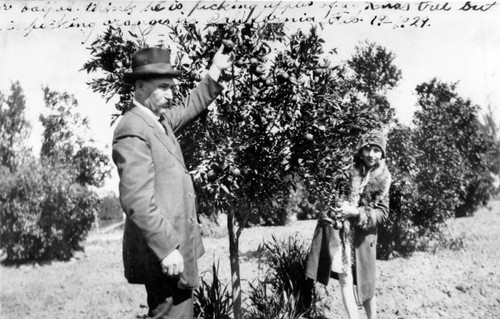 Friends in an orange grove