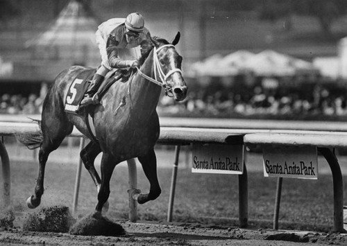 Winning Colors about to win the Santa Anita Derby