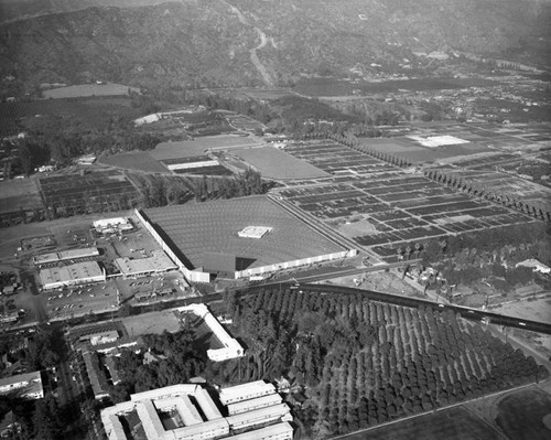 Azusa Foothill Drive-In, Azusa, looking northeast