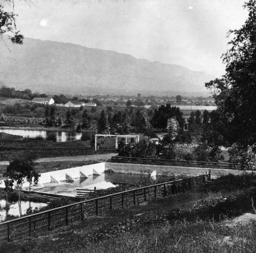 Small lake in Pasadena