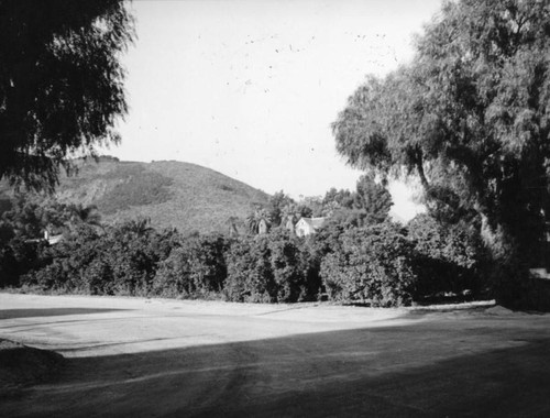 Homes in a Glendora grove