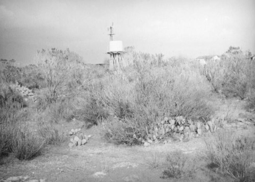 Desert landscape, El Monte hog farm after the flood