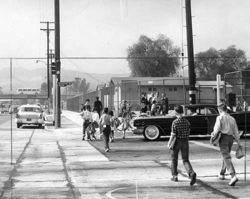 Study Woodman crossing safety