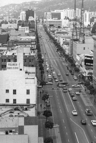 Hollywood Blvd