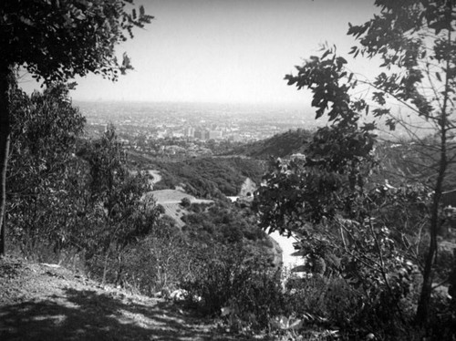 View of Hollywood from Outpost Estates