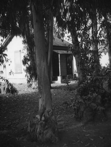 Cottage through the trees at Pueblo La Brea