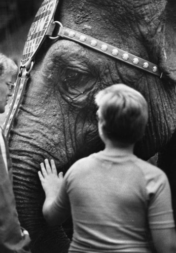 Visually impaired children enjoy the circus