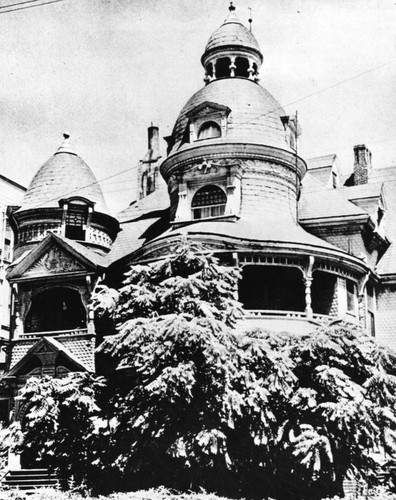 Trees and exterior of Hotel Melrose