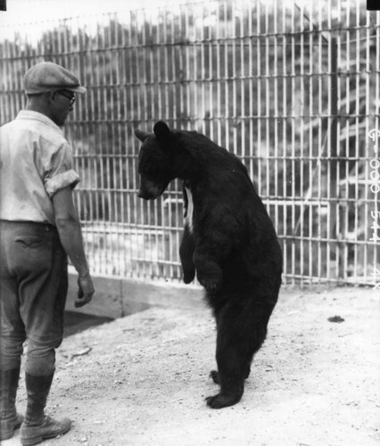 Man and bear in zoo