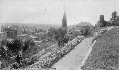 Hillside garden on Hill Street