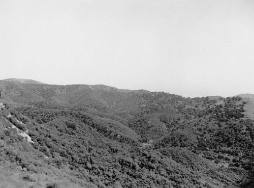 Topanga Canyon view