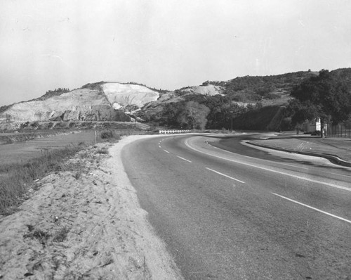 Hollingsworth Hill in Griffith Park