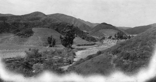 Panoramic view of Beverly Hills