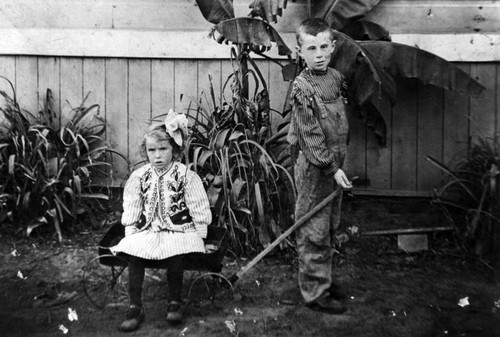 Children in backyard