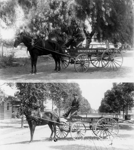 Wagon hauled by a horse