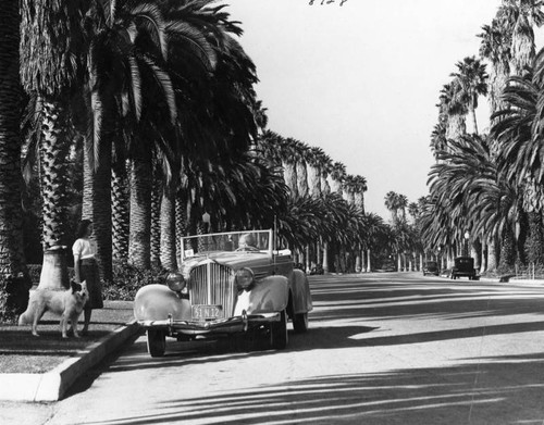 Vintage automobile