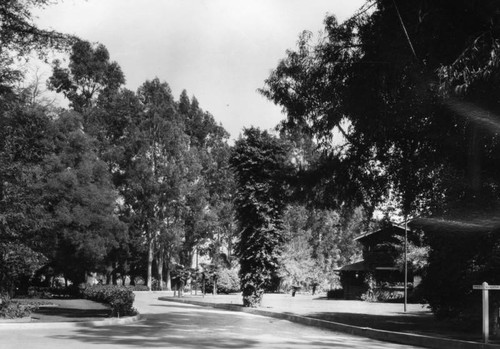 Los Angeles County Farm