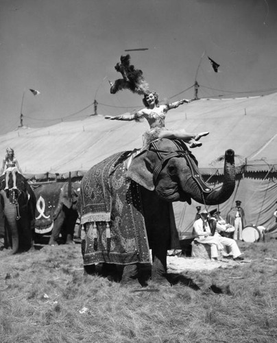 Woman on elephant