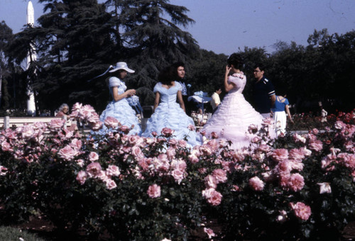 Wedding, Exposition Park Rose Garden