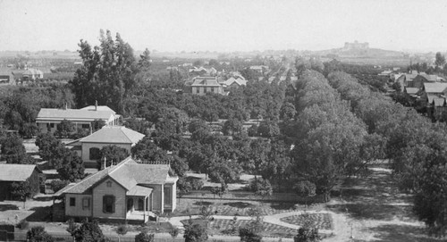 Pasadena in 1890