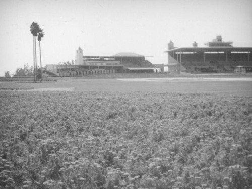 Grandstands from the track, Santa Anita Racetrack