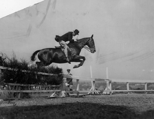 Horse jumping