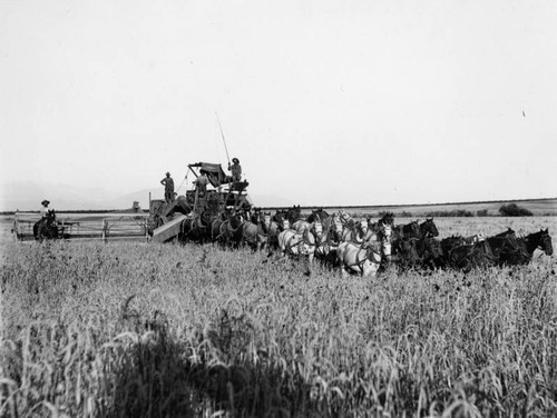 Farm harvester