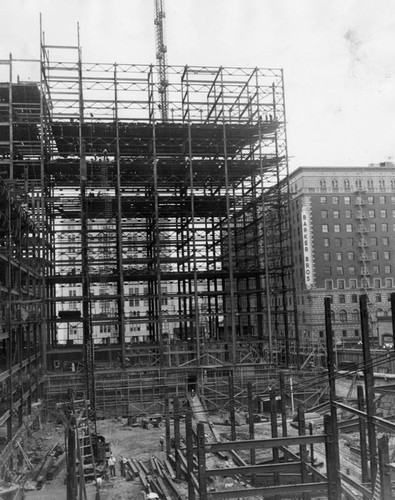 Building Statler Center