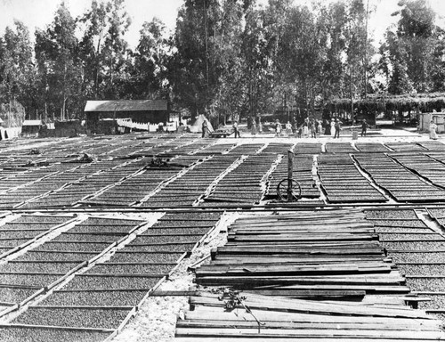 Early day pictures tell of Valley history as picnic nears