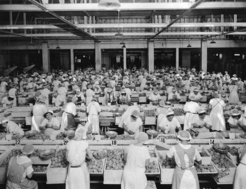 Processing peaches