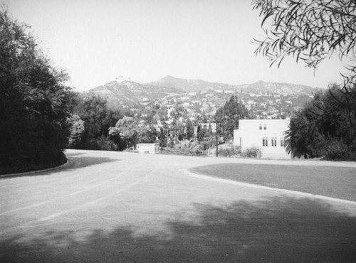 View from Barnsdall Park