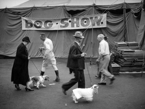 Dog show at the Los Angeles County Fair