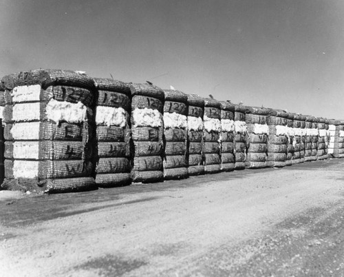 Cotton gin, view 10