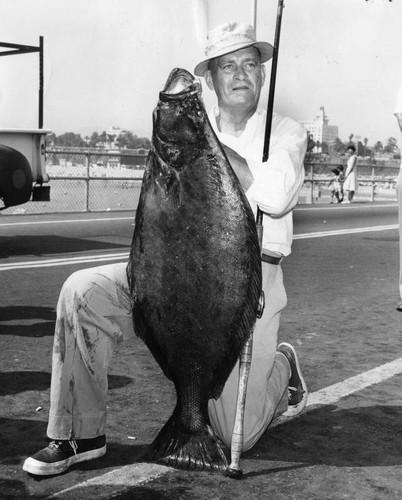 Top halibut catch