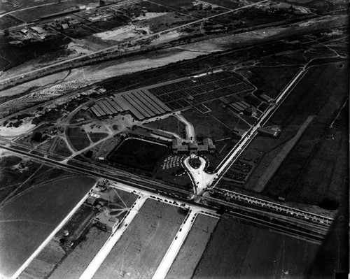 L. A. Union Stockyards, aerial