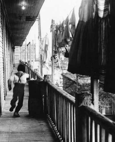 Hewitt Street slum apartments