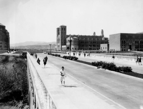 Bridge at U.C.L.A., view 4