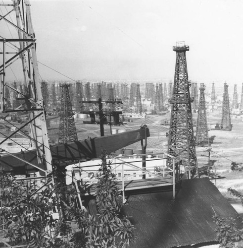 Oil derricks of Los Angeles, view 9