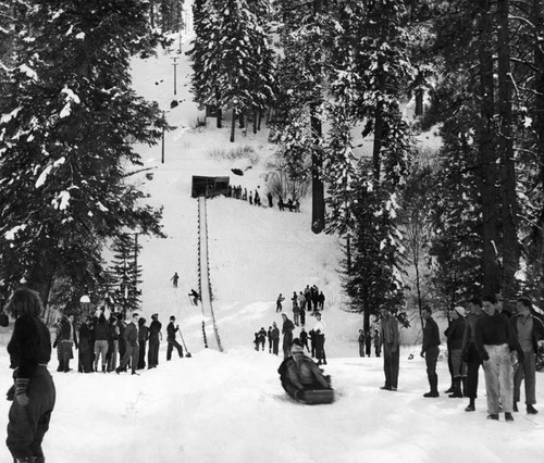 Big Bear toboggan slide