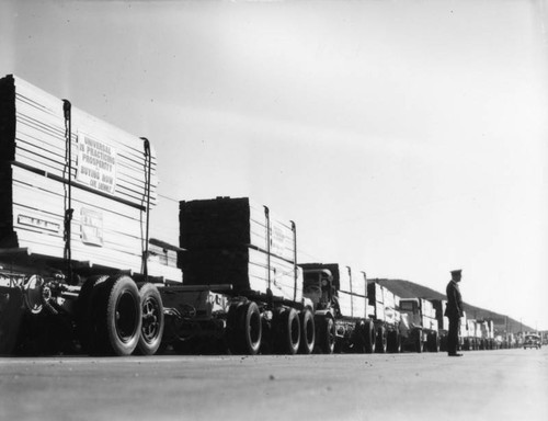 Convoy of trucks hauling lumber