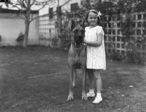 Little girl with her great dane, view 1