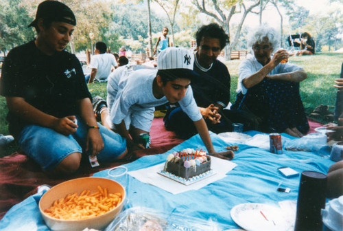 Ali's birthday picnic in park