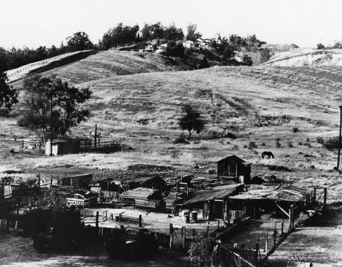 Ramshackle buildings in a country setting