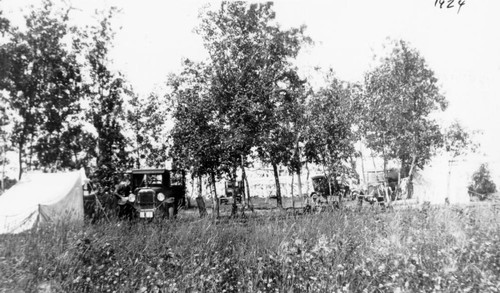 Cars in field