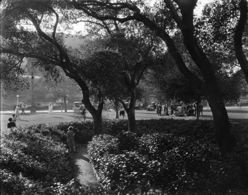 Strolling through Sycamore Grove Park