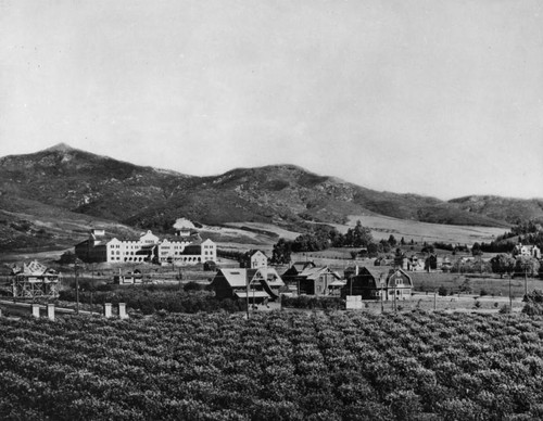 Early view of Hollywood campus