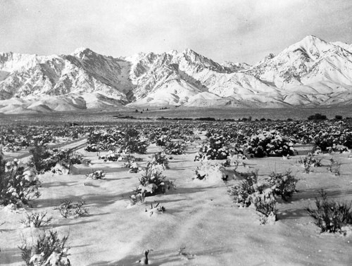 Mt. Whitney