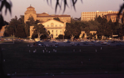 UCLA campus